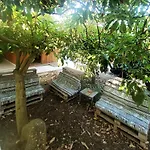 Quinta Da Norinha