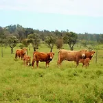 Quinta Da Norinha Gasthof *