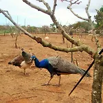 Quinta Da Norinha * Portimão
