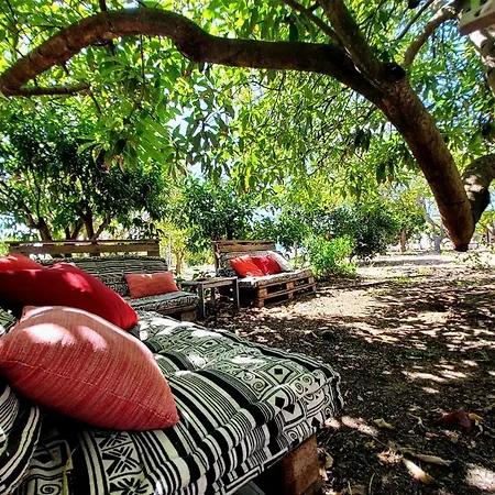 Quinta Da Norinha *