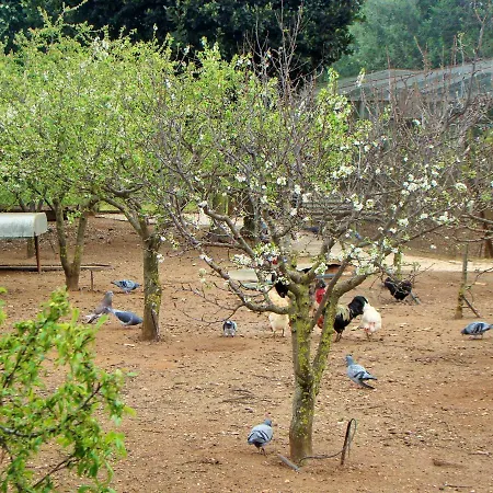 Quinta Da Norinha Maison d'hôtes *