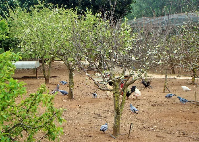 Quinta Da Norinha Guest house *