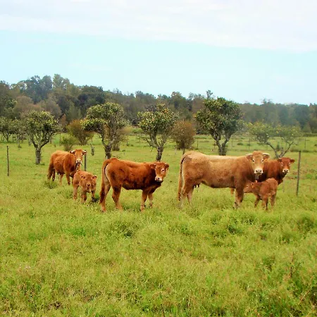 Quinta Da Norinha Gasthuis *