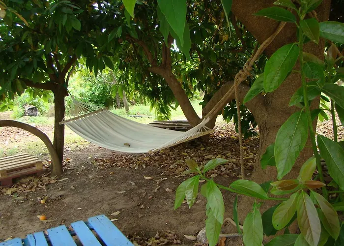 Quinta Da Norinha Gæstehus Portimão