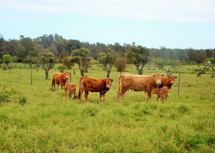 Quinta Da Norinha Gæstehus *
