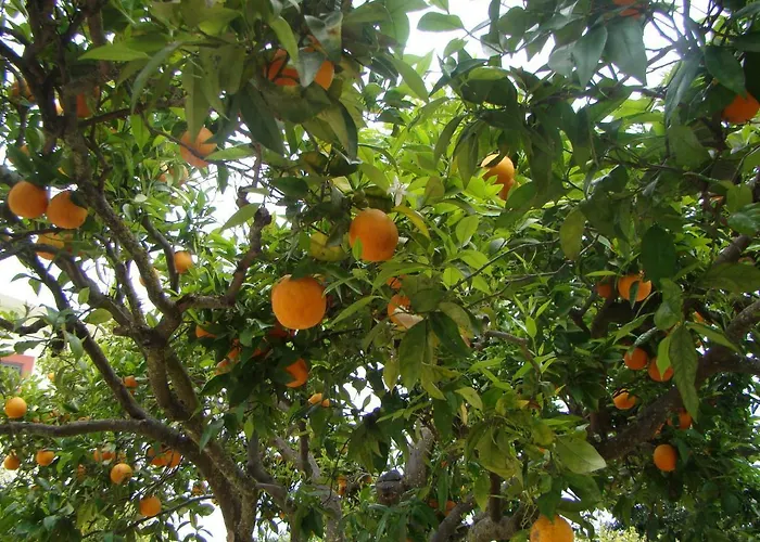 Quinta Da Norinha * Portimão