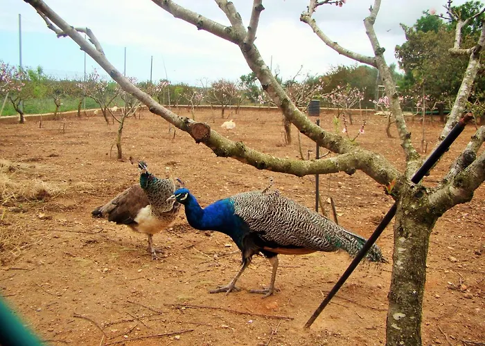 Quinta Da Norinha * Portimão